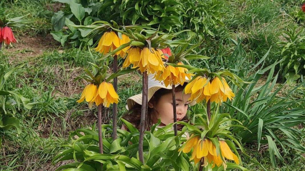 Bu insanlar neye bakıyor? Gece-gündüz nöbet tutuyorlar, ilk kez görenler şaştı kaldı! 42